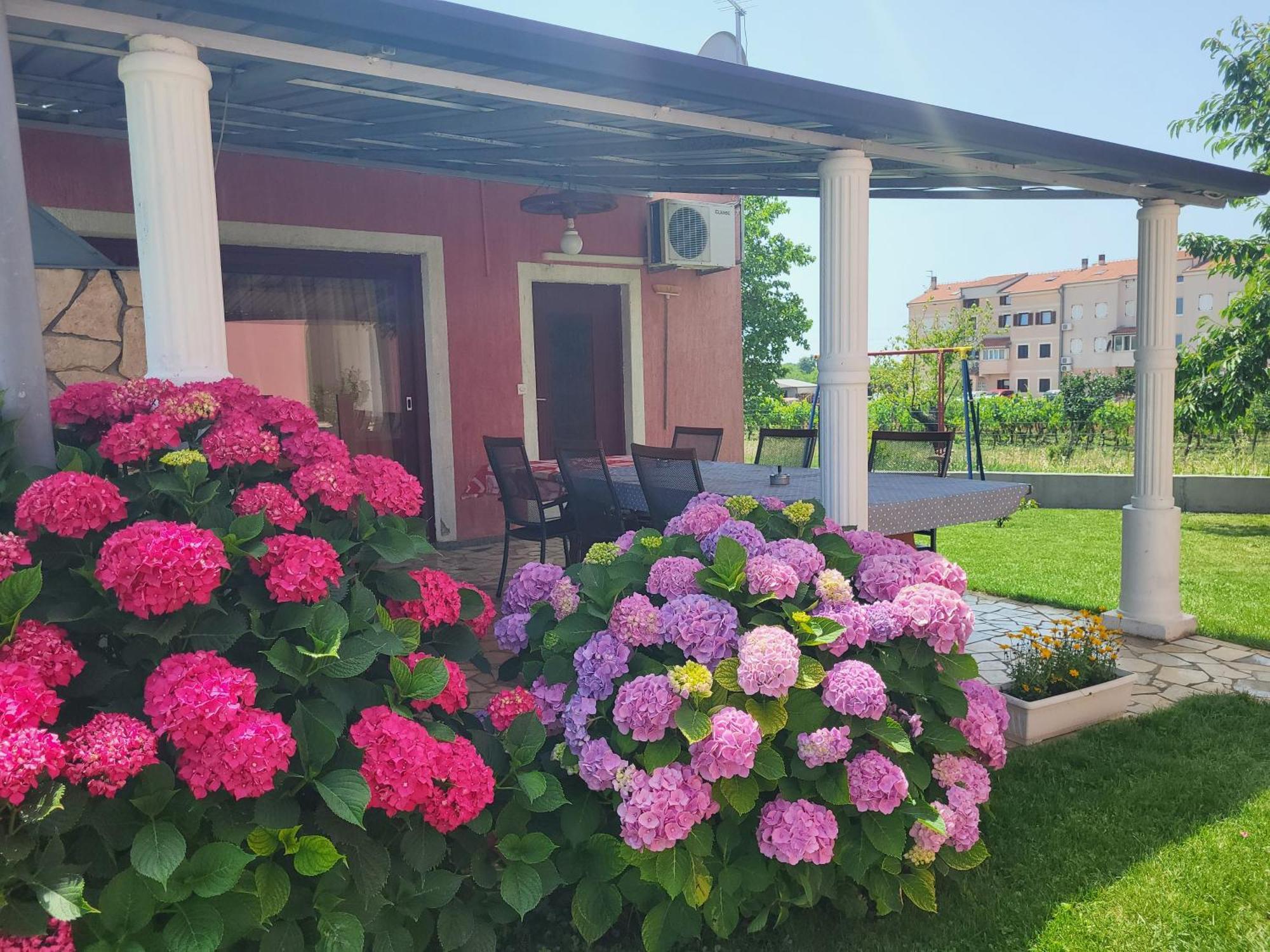 Apartments Dragica Poreč Exteriör bild