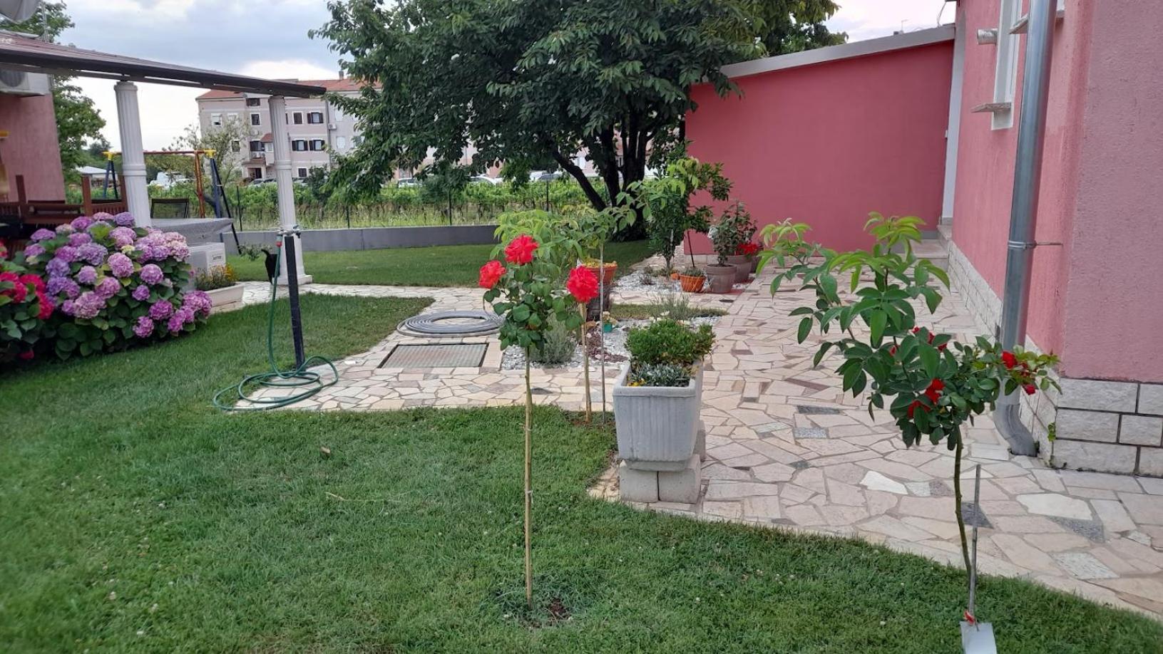 Apartments Dragica Poreč Exteriör bild